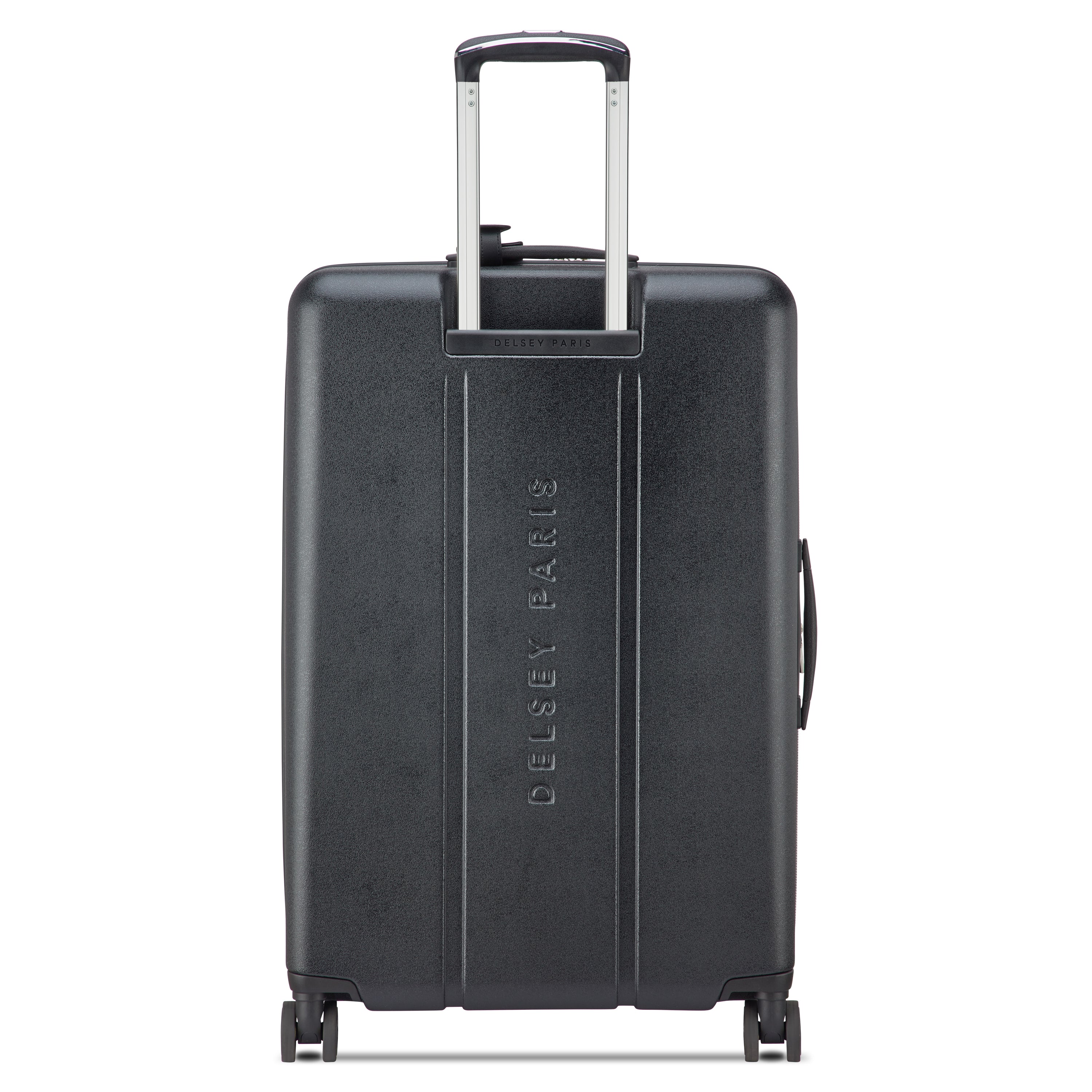 CADENCE - L (76cm) 80th anniversary edition - Image 3